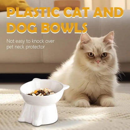 Elevated Cat Bowl with Non-Slip Base