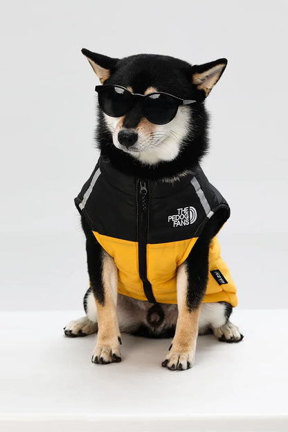 Waterproof Insulated Dog Jacket with Harness – Winter Pet Coat