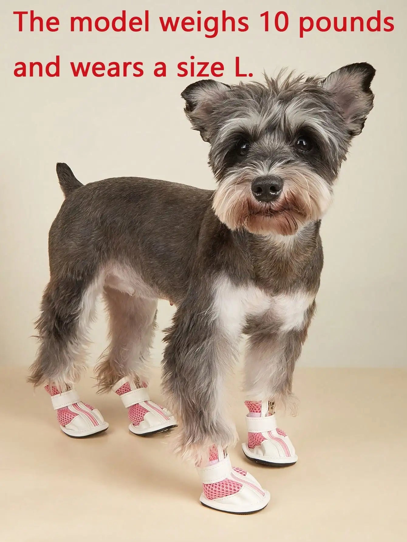 Waterproof Dog Shoes