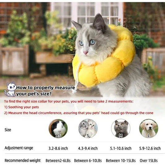 Sunflower Recovery Collar for Cats