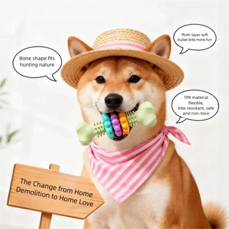 Rubber Bone Chew Toy for Dogs
