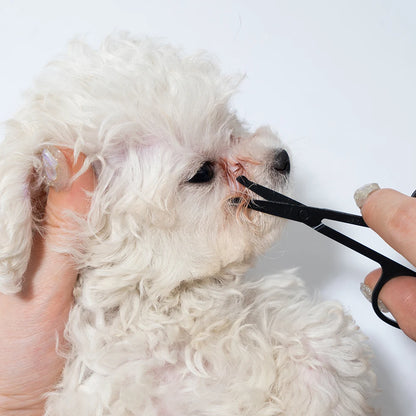 Pet Facial Cleaning Comb Set