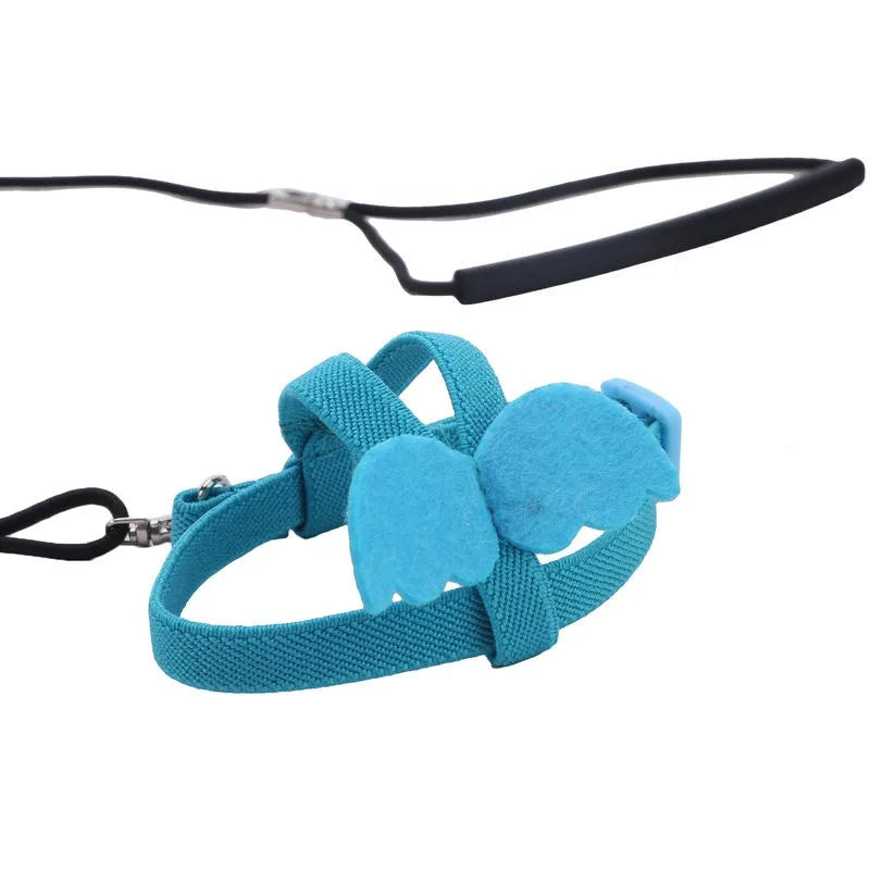 Parrot Training Harness & Anti-Bite Leash Set