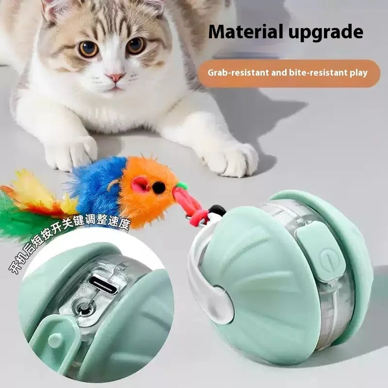 Interactive Rechargeable Rolling Pet Ball Toy