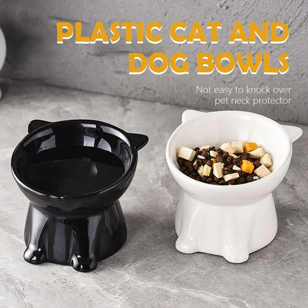 Elevated Cat Bowl with Non-Slip Base