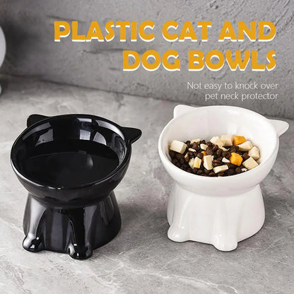 Elevated Cat Bowl with Non-Slip Base
