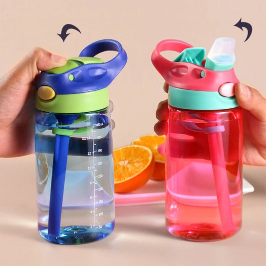 480ml Water Bottle With Straw