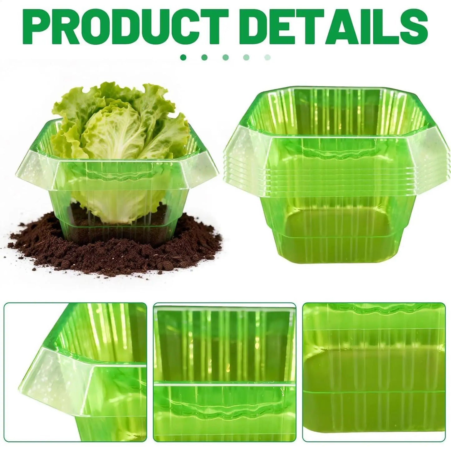 Garden Plant Protective Cloches