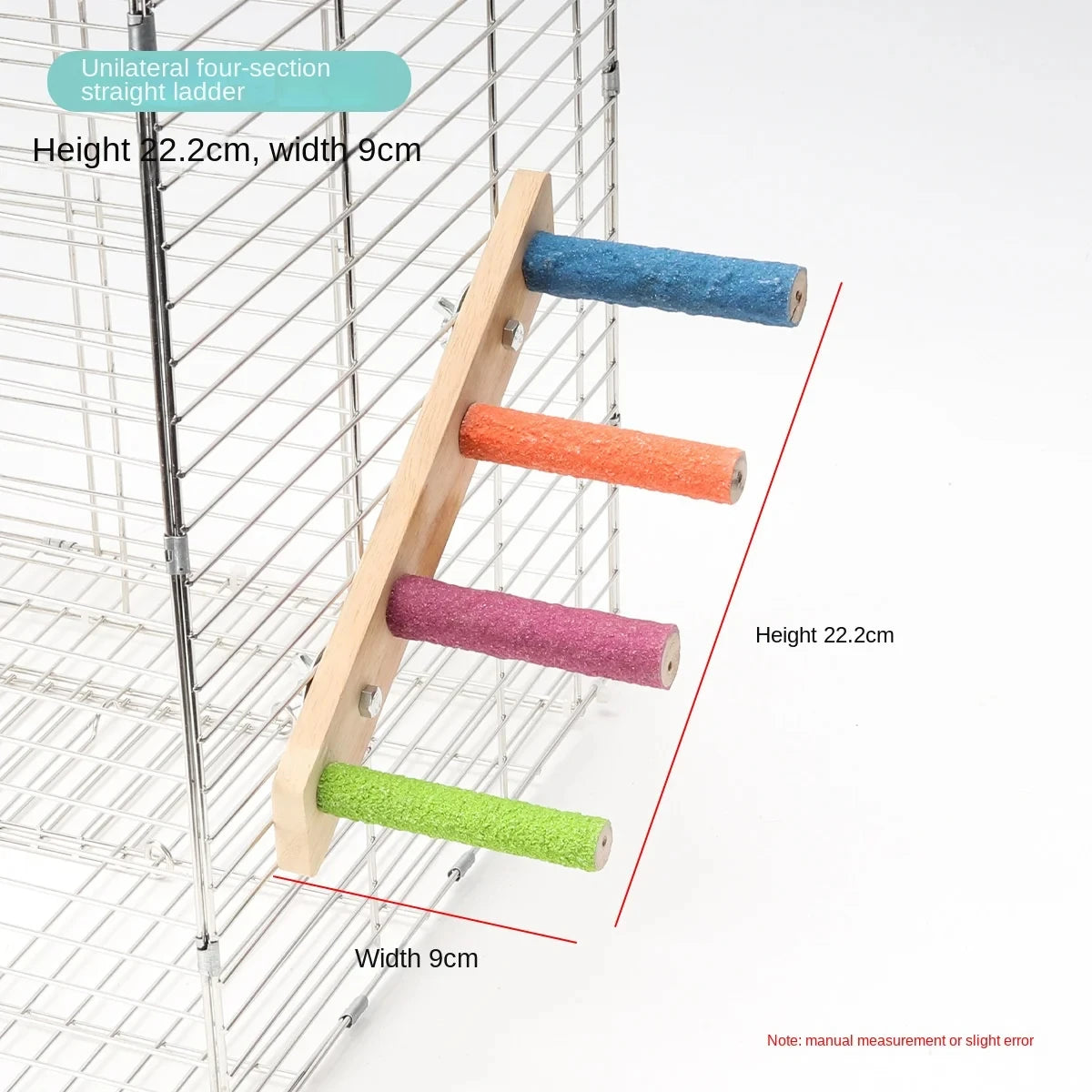 Bird Climbing Ladder