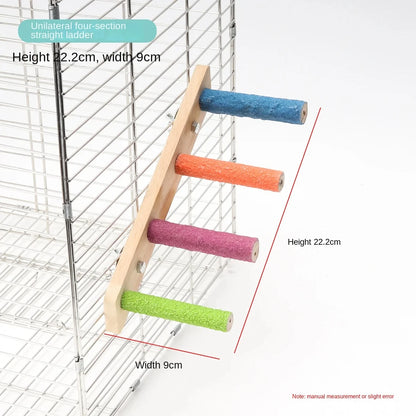 Bird Climbing Ladder