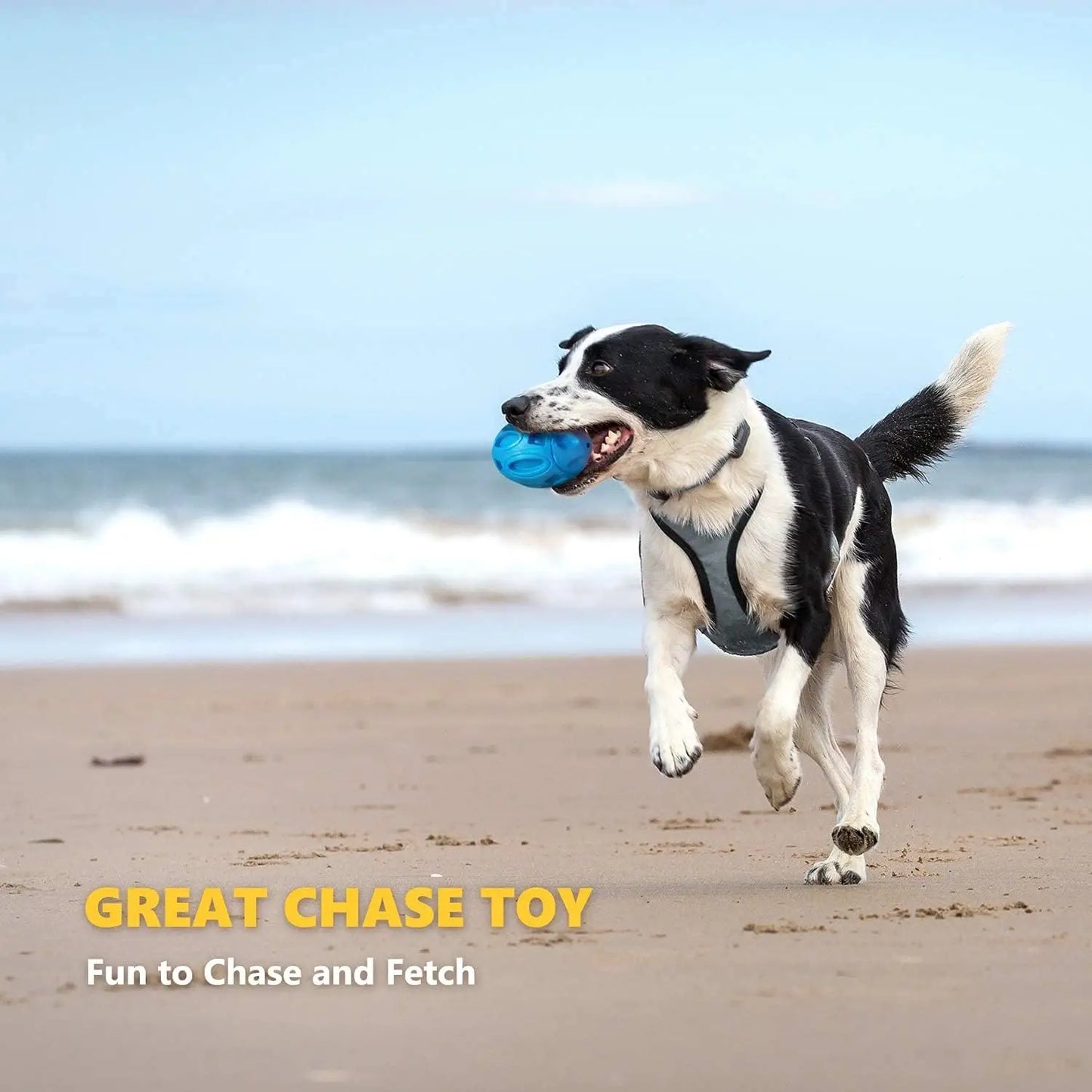 Durable Rubber Squeaky Dog Chew Ball Toy