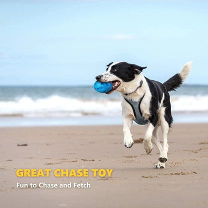 Durable Rubber Squeaky Dog Chew Ball Toy