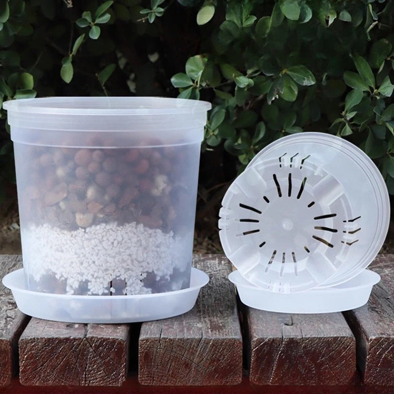 Transparent Nursery Plant Pot