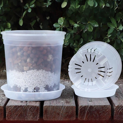 Transparent Nursery Plant Pot