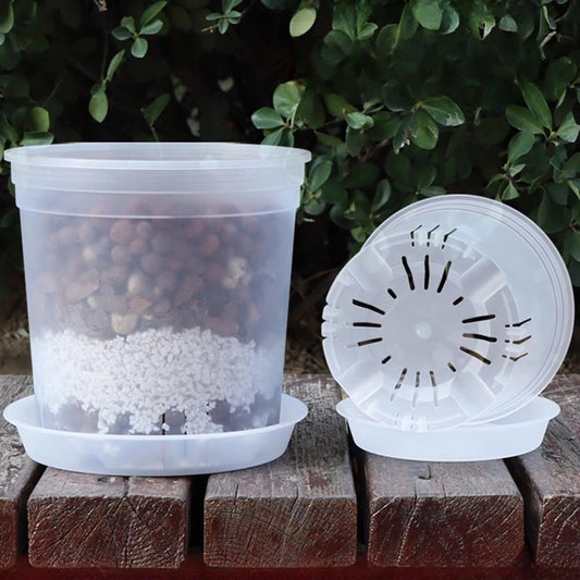 Transparent Nursery Plant Pot