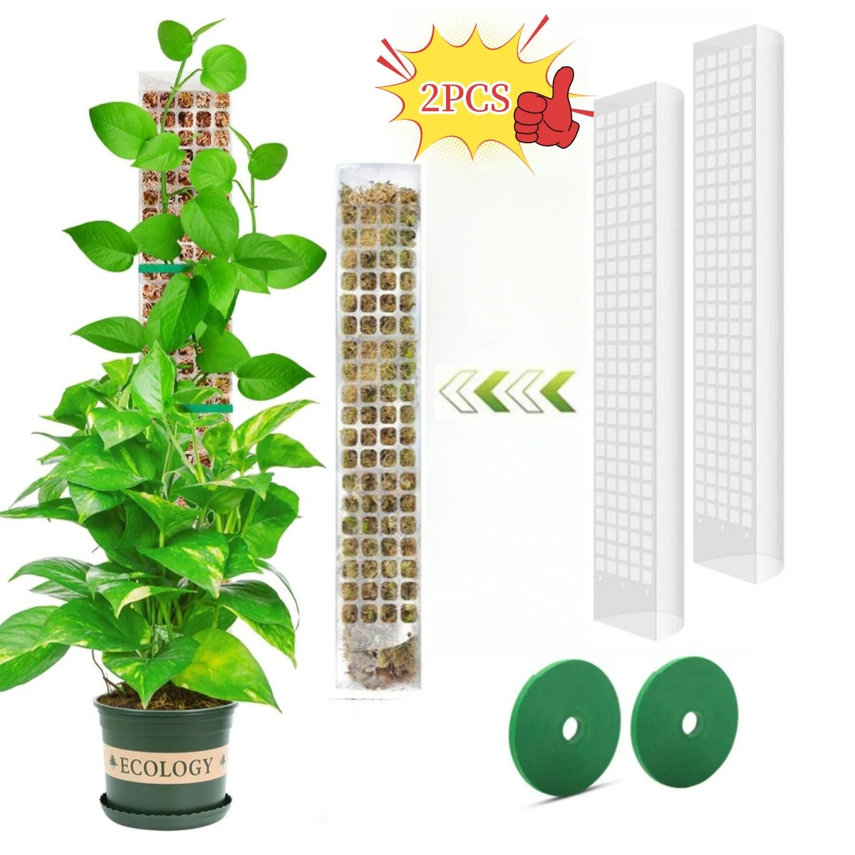 Transparent Plant Moss Pole Support