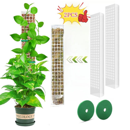 Transparent Plant Moss Pole Support