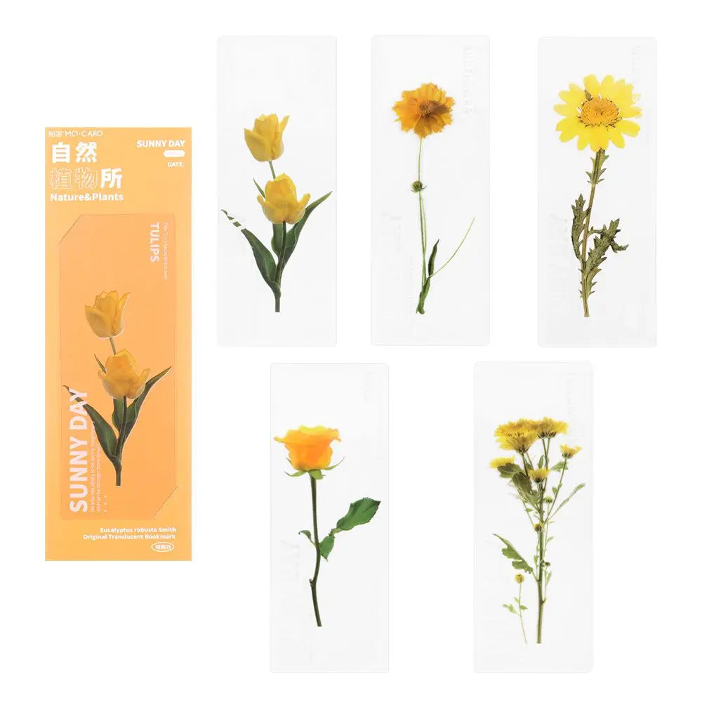 Translucent Flower Bookmark Set