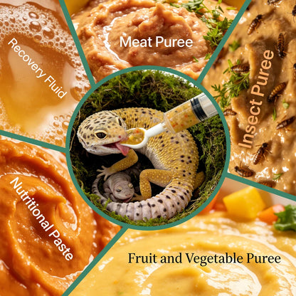 Reptile Feeding Syringe with Spoon Tip