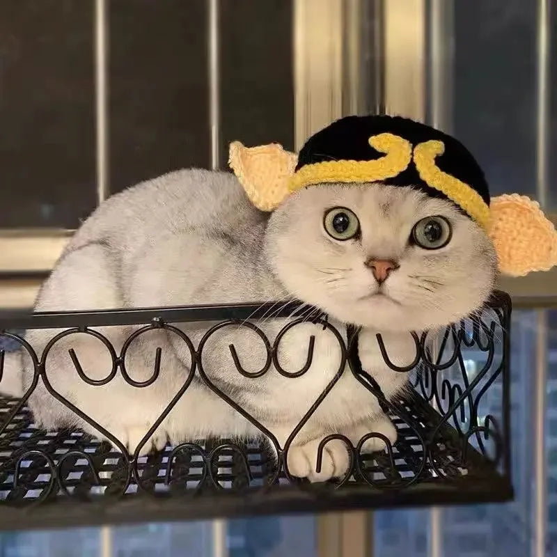 Autumn & Winter Knitted Cat Hat