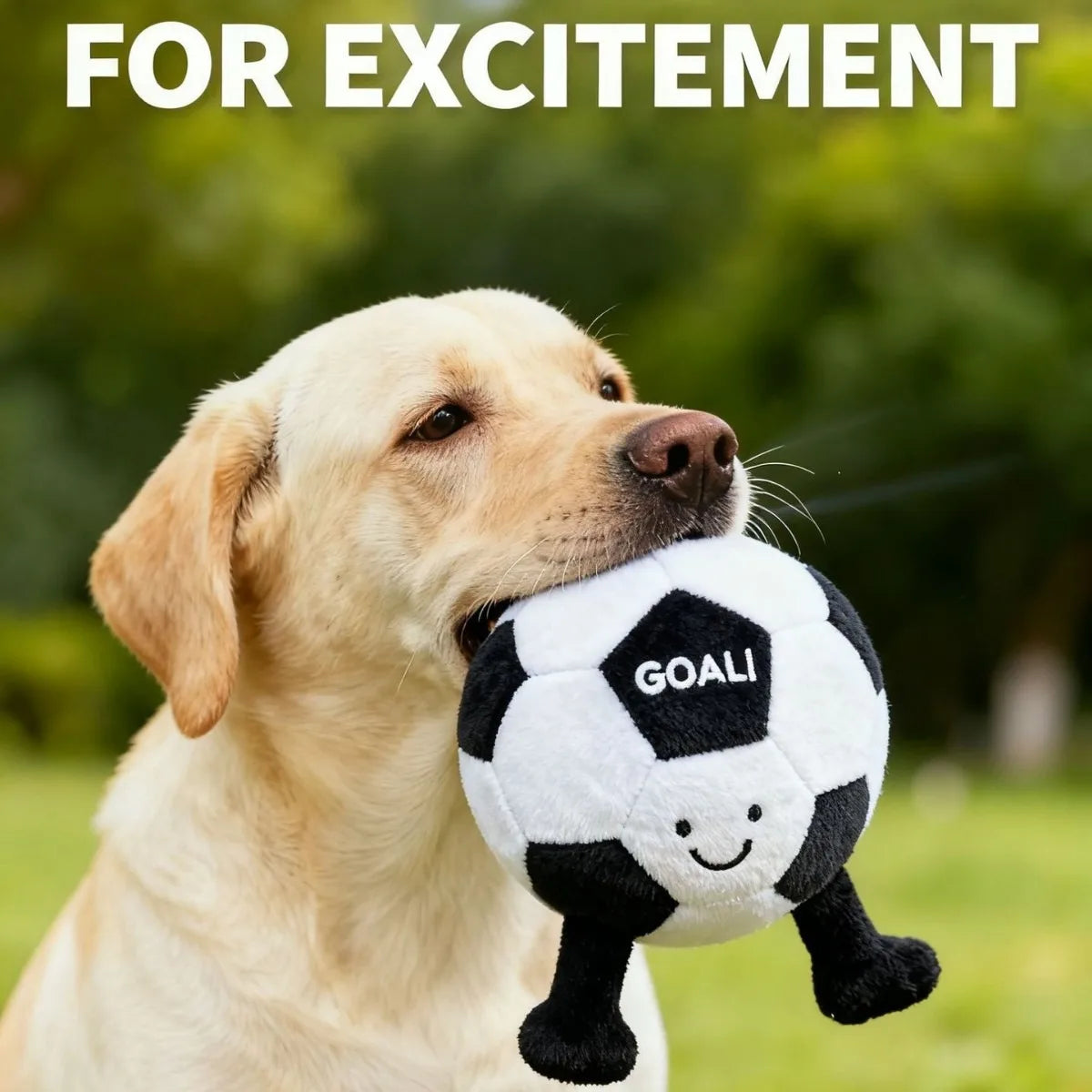 Dog Soccer Squeaky Toy Ball