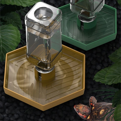 Reptiles Water Feeder Bowl