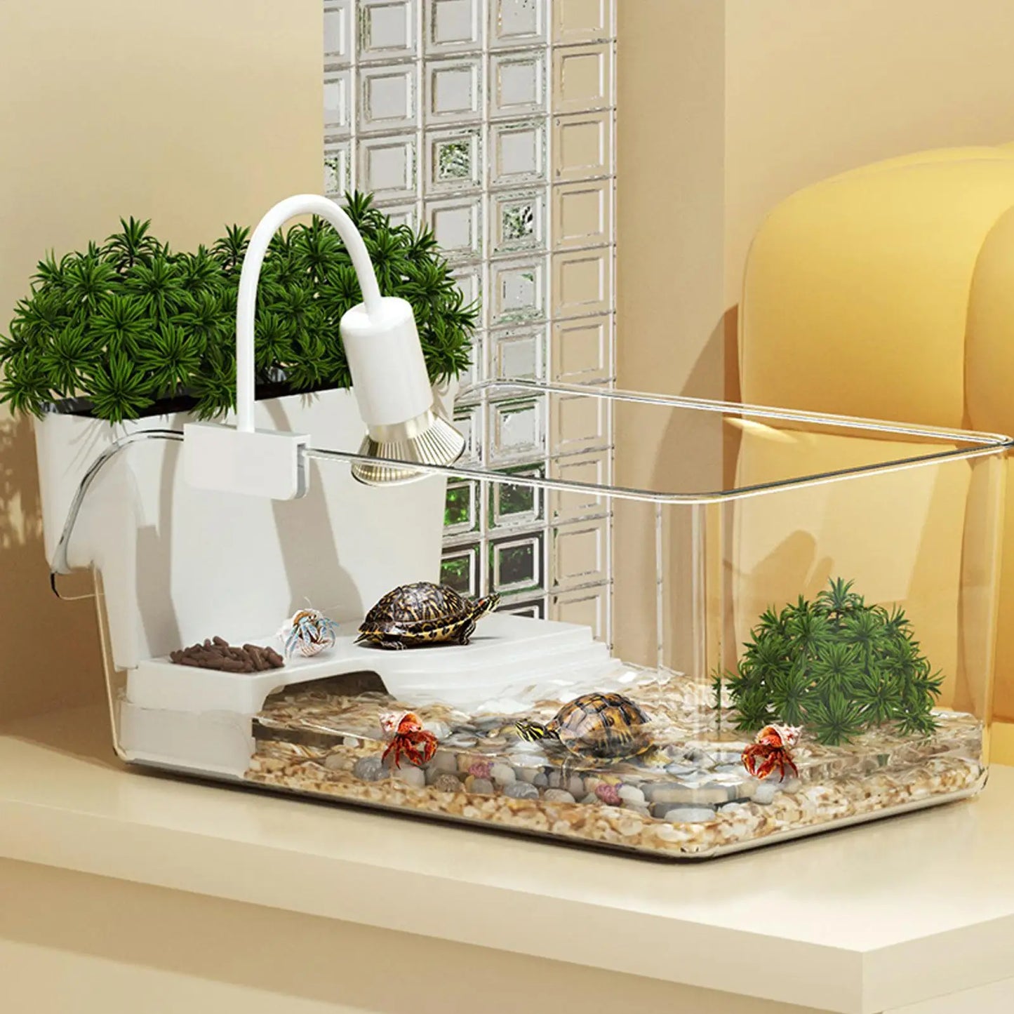 Transparent Turtle Habitat Tank