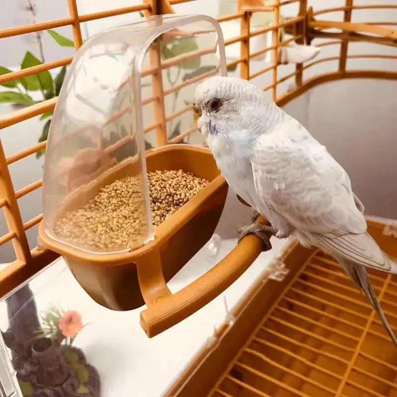 Clear Hanging Bird Feeder & Water Bowl