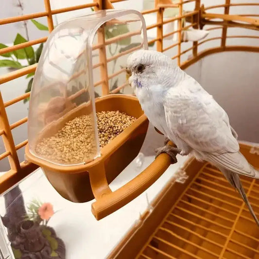 Clear Hanging Bird Feeder & Water Bowl
