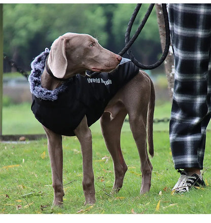 Reflective Winter Dog Coat with Faux Fur Collar for Large Dogs