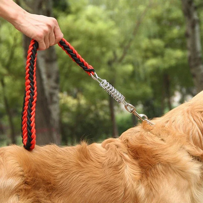 Shock Absorbing Dog Leash – Braided Nylon Training Lead