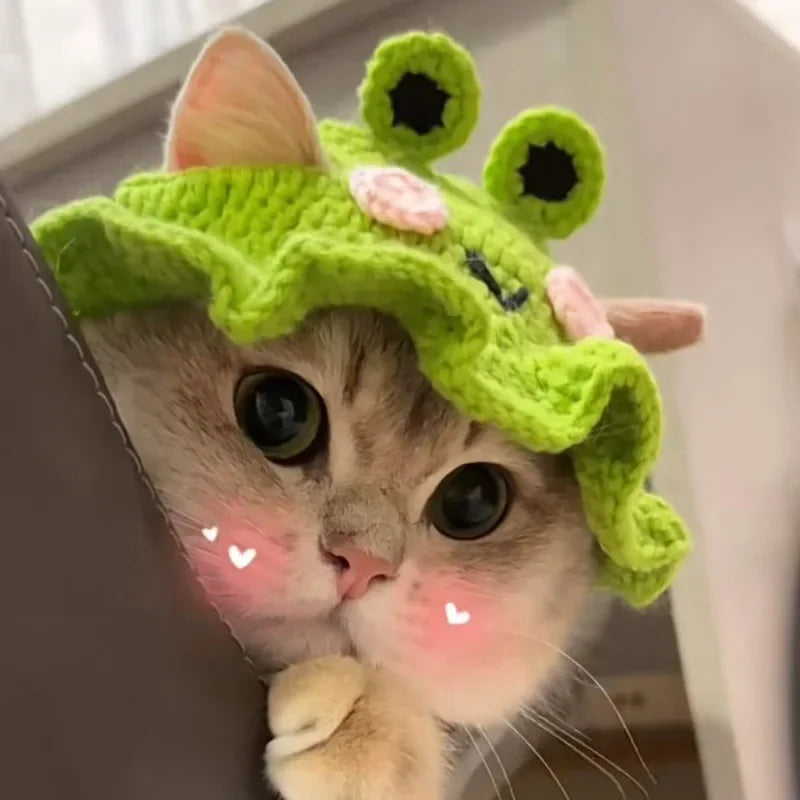 Autumn & Winter Knitted Cat Hat