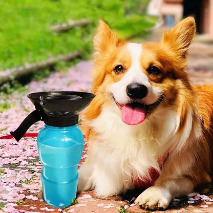 Portable Dog Water Bottle