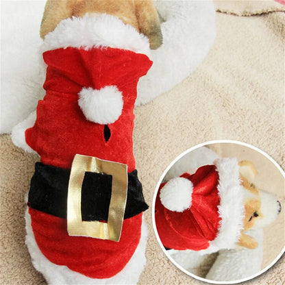 Christmas Santa Pet Costume