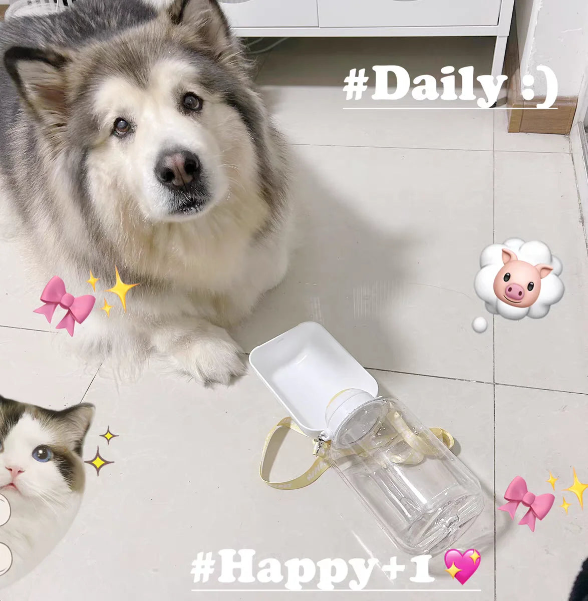 2-in-1 Portable Dog Water Bottle & Food Container