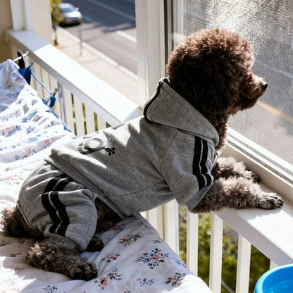 Sport Hoodie Dog Jumpsuit
