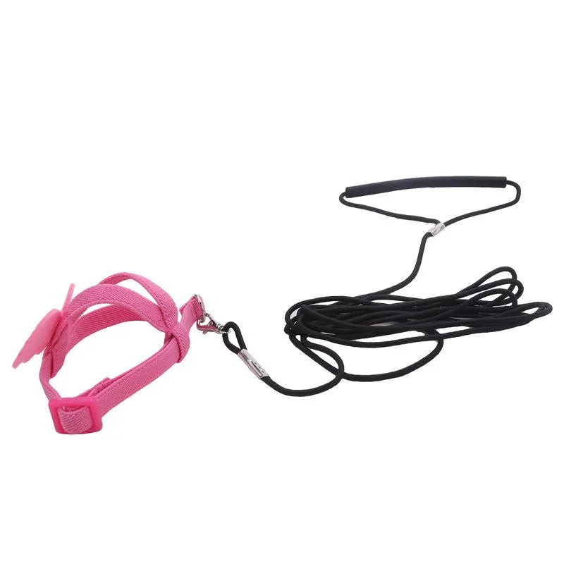 Parrot Training Harness & Anti-Bite Leash Set