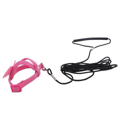 Parrot Training Harness & Anti-Bite Leash Set