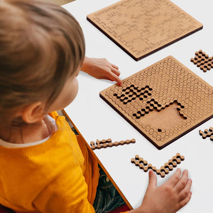 Impossible Wooden IQ Puzzle Game