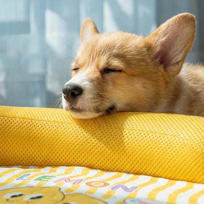 Breathable Washable Pet Bed for Small & Medium Dogs