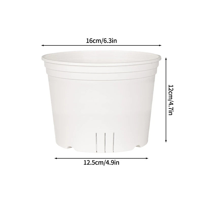 Transparent Nursery Plant Pot