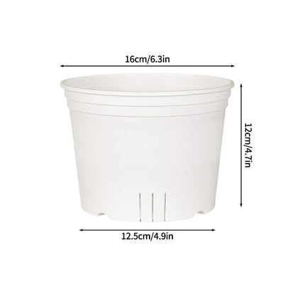 Transparent Nursery Plant Pot