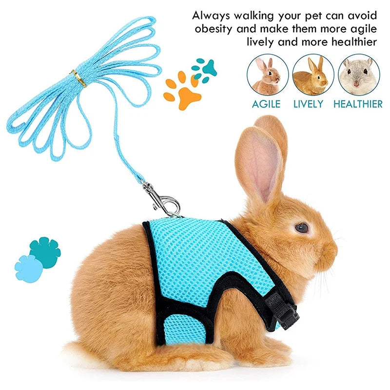 Breathable Small Pet Harness & Leash Set