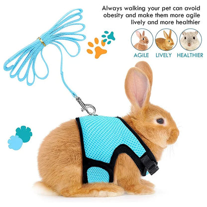 Breathable Small Pet Harness & Leash Set