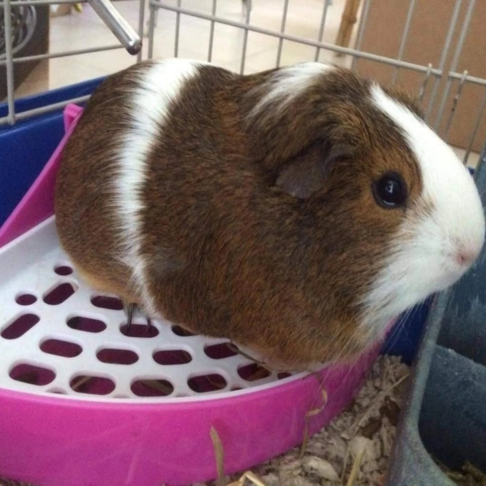 Small Animal Corner Litter Tray