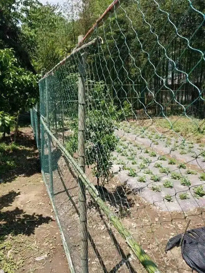 Heavy Duty Garden Protection Netting