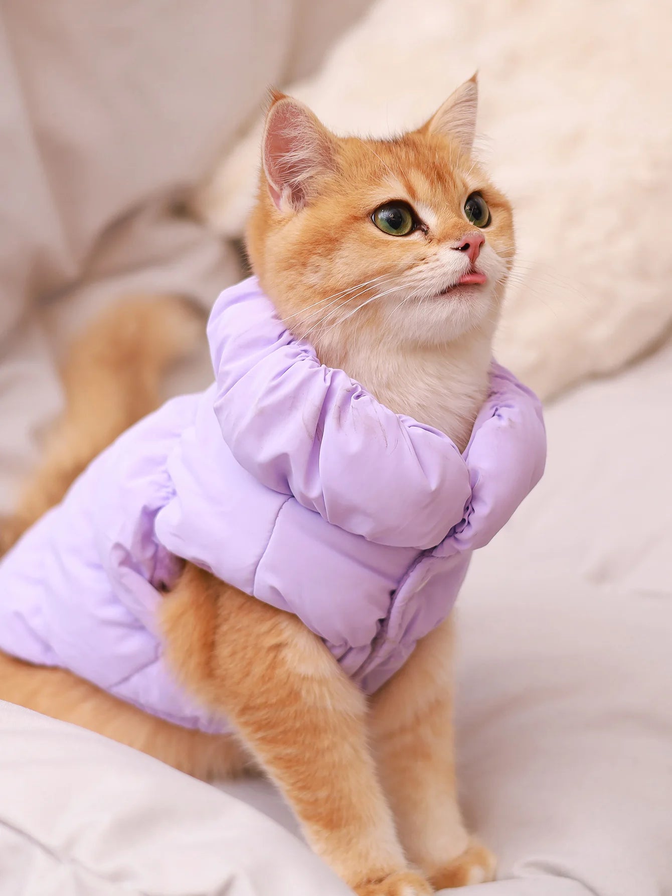 Winter Quilted Dog Jacket