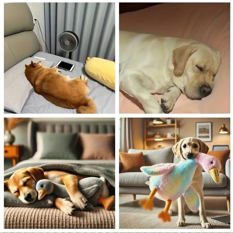 Soft Colorful Duck Plush Pet Toy