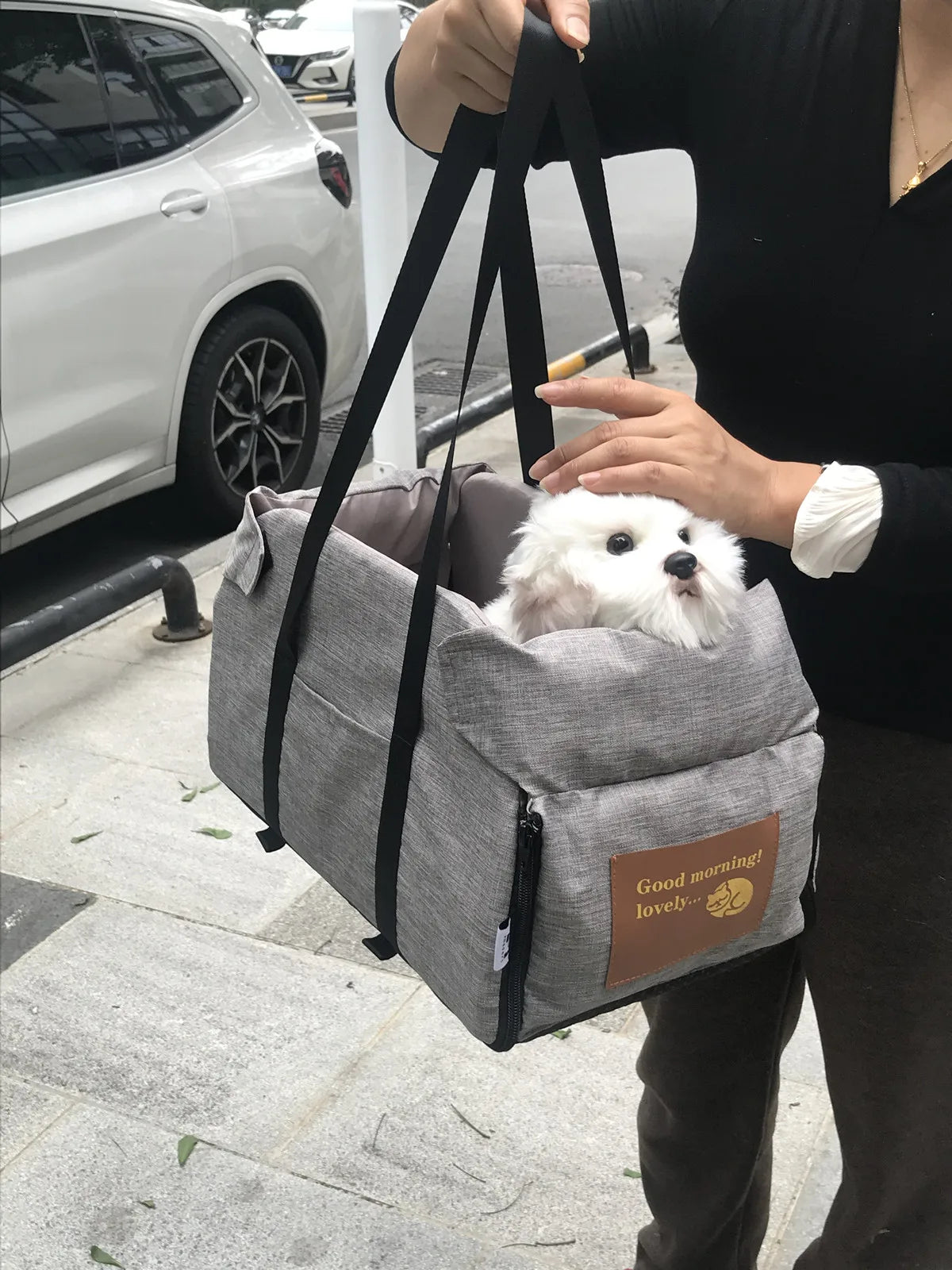 Travel Car Seat Carrier for Small Dogs & Cats