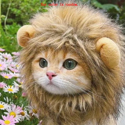 Lion Mane Costume for Cats & Dogs